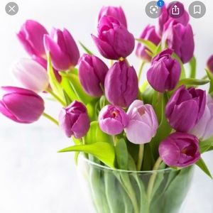 Meet your Posher, Thasen